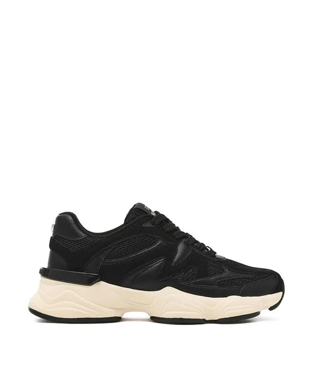 SETTI BLACK MULTI